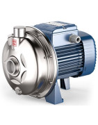 Sausai statomas siurblys Pedrollo CPm 180-ST6, 220V