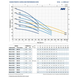 Giluminis vandens siurblys šuliniams Pedrollo NKm 8/3-GE