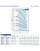 Giluminis vandens siurblys Pedrollo 3SR2/41, 400V