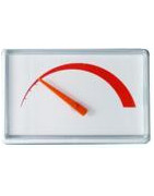 Termometras Ariston 571731