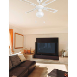 Lubų ventiliatorius Faro Aruba, su šviestuvu, baltos spalvos