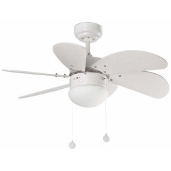 Lubų ventiliatorius Faro Palao, su šviestuvu, įvairių spalvų