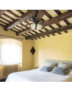 Lubų ventiliatorius Faro Corso, su šviestuvu, rudos spalvos