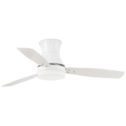 Lubų ventiliatorius Faro Tonsay, su šviestuvu, įvairių spalvų