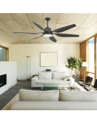 Lubų ventiliatorius Faro Tilos, su šviestuvu, rudos spalvos