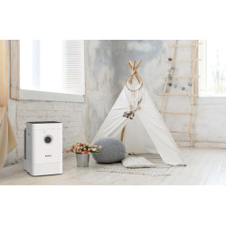 Oro drėkintuvas-valytuvas Boneco H400