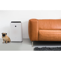 Oro drėkintuvas-valytuvas Sharp KCD60EUW