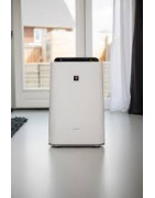 Oro drėkintuvas-valytuvas Sharp KCD50EUW