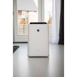 Oro drėkintuvas-valytuvas Sharp KCD50EUW