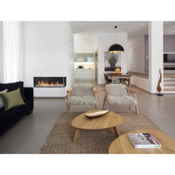 Dujinis židinys Akos Uranus L, 10 kW, su kampiniu stiklu