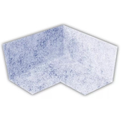 Vogi vidinis kampas membranai