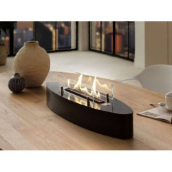 Plieninis bio židinys Spartherm Ebios-fire Elipse Base, juodas