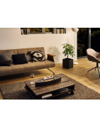 Plieninis bio židinys Spartherm Ebios-fire Elipse Base, juodas