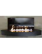 Plieninis bio židinys Spartherm Ebios-fire Elipse Wall Mini