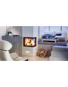 Plieninis židinio ugniakuras Spartherm Varia 2R-55-4S, iki 9.1kW