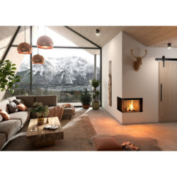 Plieninis židinio ugniakuras Spartherm Varia 2L-68h-4S, 12.5 kW