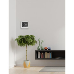 Išmanusis termostatas Spring TR2000-2WW, programuojamas