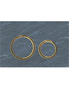 Vandens nuleidimo mygtukas Geberit Sigma21, skalūnas/auksas