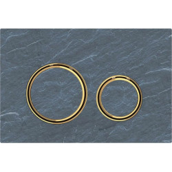 Vandens nuleidimo mygtukas Geberit Sigma21, skalūnas/auksas