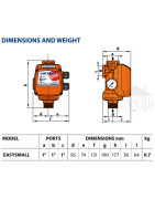 Elektroninis siurblio valdiklis Pedrollo EASY SMALL II
